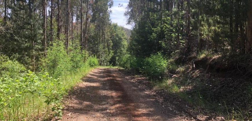 OPORTUNIDAD – PARCELA CERRO MARIPOSA