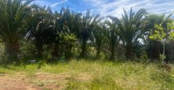 OPORTUNIDAD – PARCELA CERRO MARIPOSA