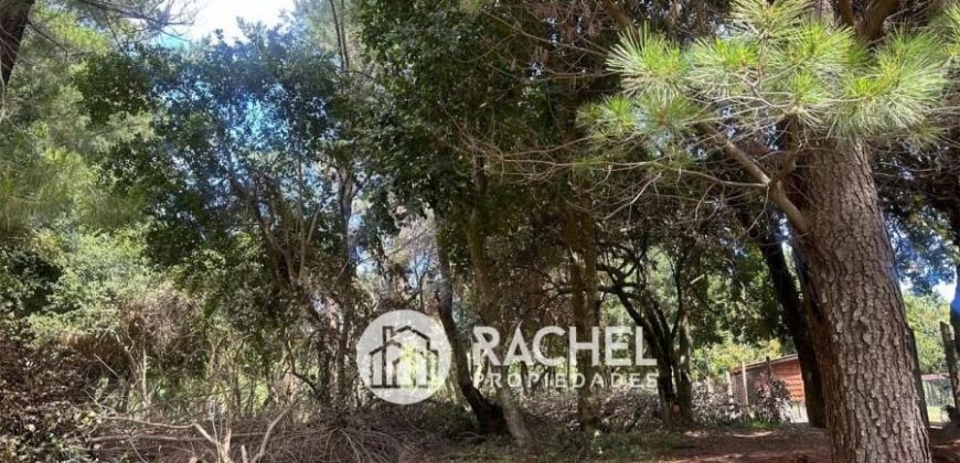 VENTA DE PRECIOSA PARCELA CON RÍO y ÁRBOLES NATIVOS EN PUCON. INMEJORABLE UBICACIÓN