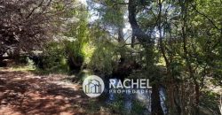VENTA DE PRECIOSA PARCELA CON RÍO y ÁRBOLES NATIVOS EN PUCON. INMEJORABLE UBICACIÓN