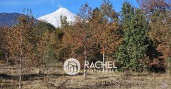 Gran Oportunidad en Pucón Parcela en Venta con Potencial Comercial y Habitacional