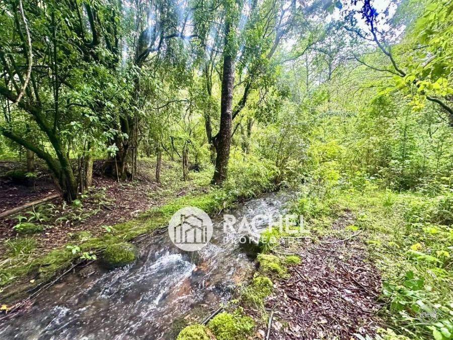 VENTA PARCELA EN CONDOMINIO FUNDO EL SOL – SECTOR LOS CALABOZOS EN PUCON