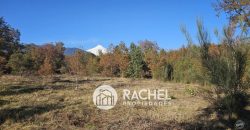 Gran Oportunidad en Pucón Parcela en Venta con Potencial Comercial y Habitacional