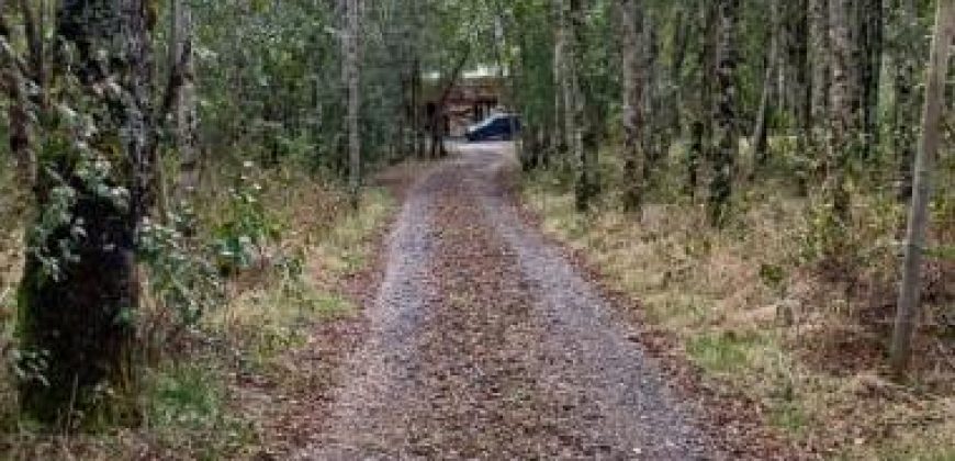 Excelente Cabaña