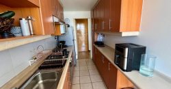VENDEMOS HERMOSO DEPARTAMENTO SECTOR HOLANDESA.