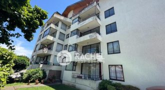 EN VENTA AMPLIO DEPARTAMENTO SECTOR COLEGIO ALEMAN – TEMUCO