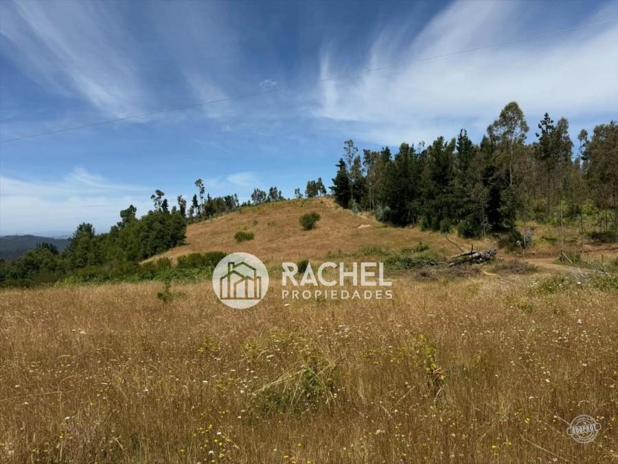 PARCELAS EN VENTA SECTOR MONTEVERDE – TEMUCO