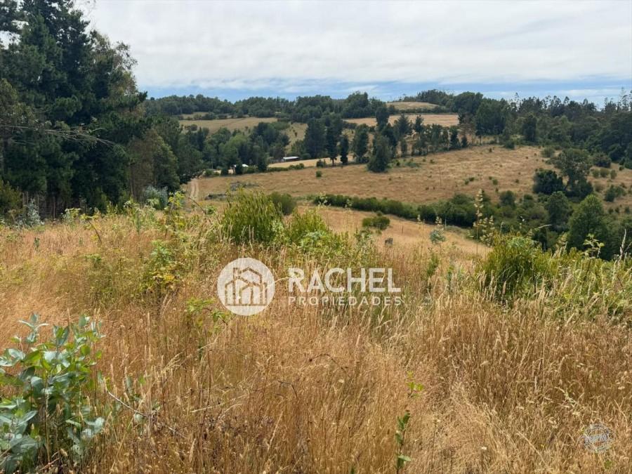 PARCELAS EN VENTA SECTOR MONTEVERDE – TEMUCO