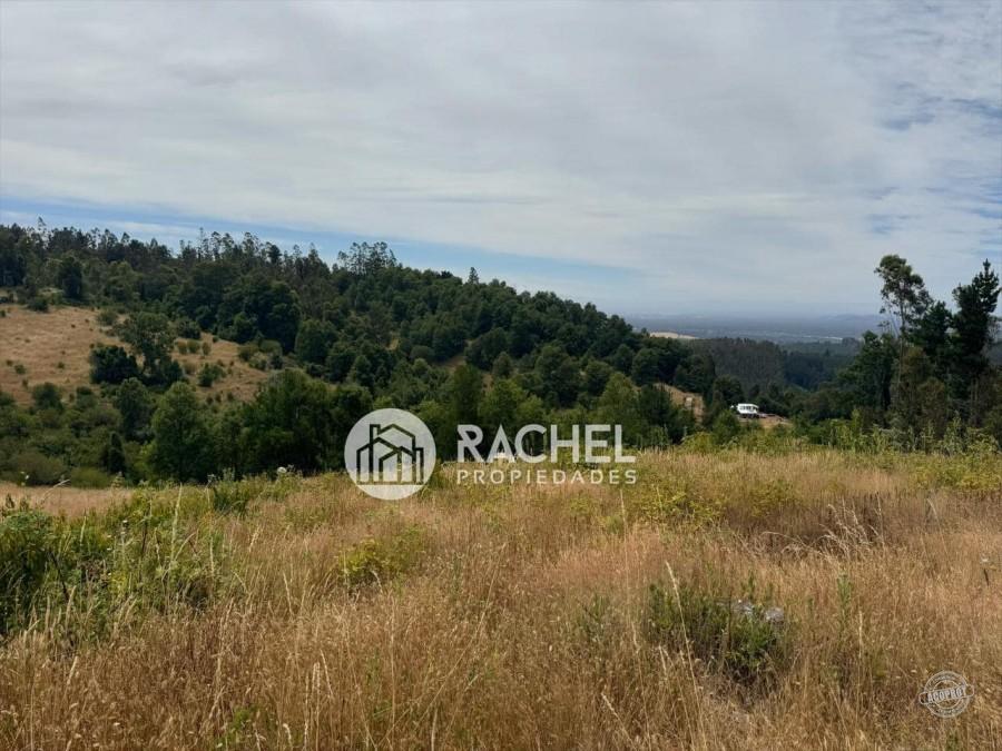 PARCELAS EN VENTA SECTOR MONTEVERDE – TEMUCO