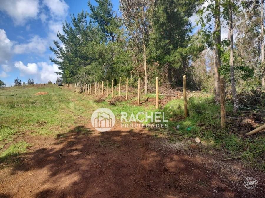 PARCELAS EN VENTA SECTOR MONTEVERDE – TEMUCO