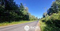 EN VENTA PARCELA A ORILLA DE CAMINO SECTOR MOLCO ALTO
