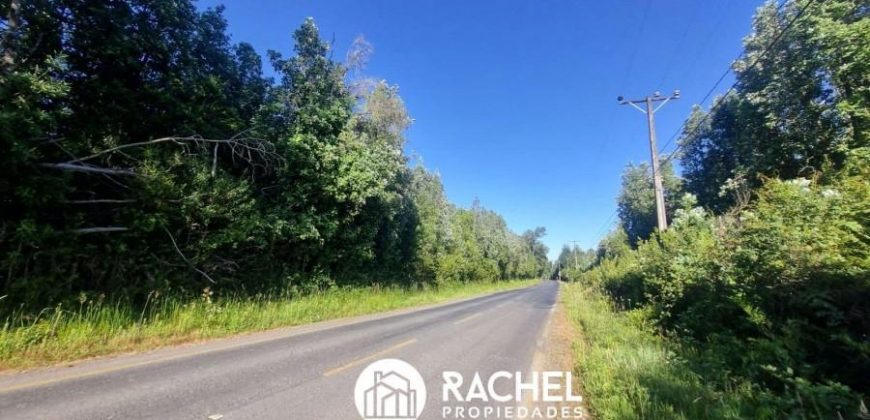 EN VENTA PARCELA A ORILLA DE CAMINO SECTOR MOLCO ALTO