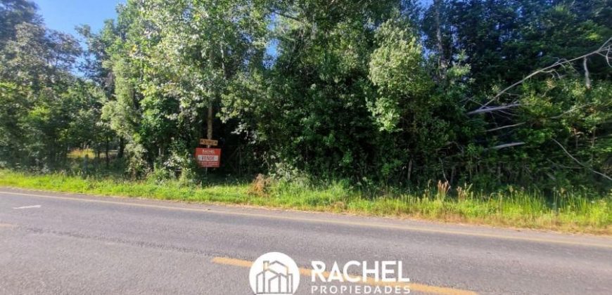 EN VENTA PARCELA A ORILLA DE CAMINO SECTOR MOLCO ALTO