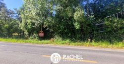EN VENTA PARCELA A ORILLA DE CAMINO SECTOR MOLCO ALTO
