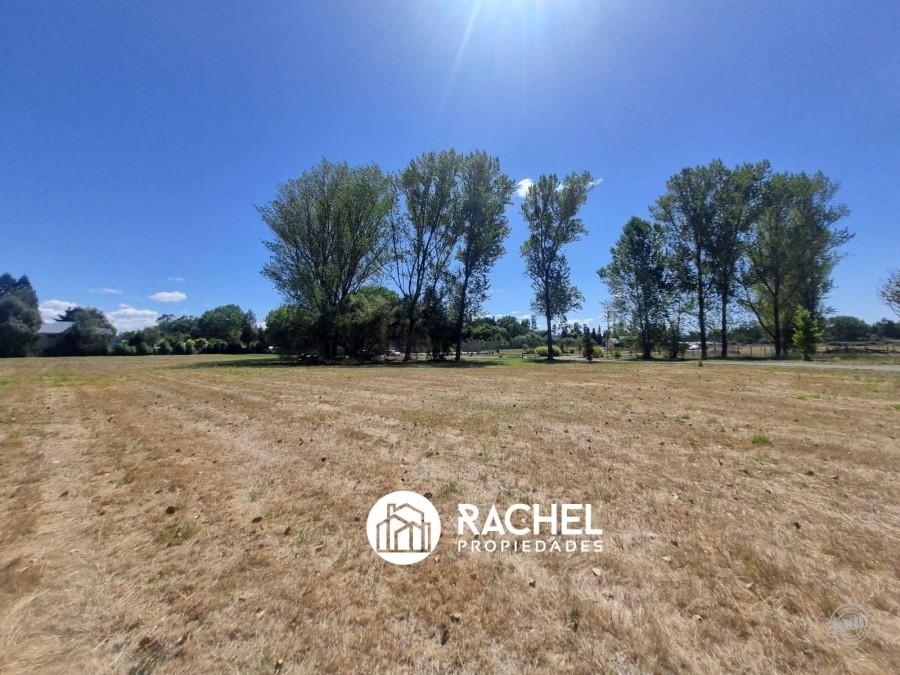 EN VENTA PARCELA EN EXCLUSIVO CONDOMINIO SECTOR METRENCO CERCANO A CARRETERA