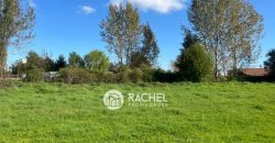 SE VENDE HERMOSA PARCELA DE 6.135 mts2 – Sector Camino Botrolhue
