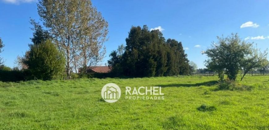 SE VENDE HERMOSA PARCELA DE 6.135 mts2 – Sector Camino Botrolhue