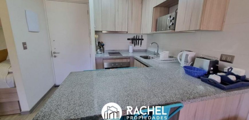 EN VENTA DEPARTAMENTO PARA 4/6 PERSONAS EN LOS CASTAÑOS DE ALICURA, PUCON