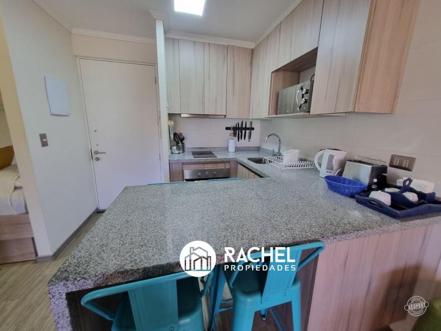 EN VENTA DEPARTAMENTO PARA 4/6 PERSONAS EN LOS CASTAÑOS DE ALICURA, PUCON
