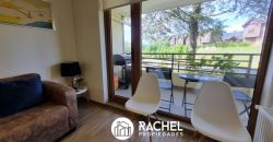 EN VENTA DEPARTAMENTO PARA 4/6 PERSONAS EN LOS CASTAÑOS DE ALICURA, PUCON