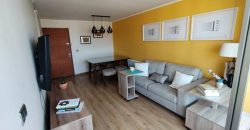 VENDEMOS HERMOSO DEPARTAMENTO CENTRO DE TEMUCO