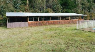 Vende centro recreativo indígena , hijuela 23 de 2,33 hectáreas, lugar Entuco, lado Padre las Casas $ 180.000.000