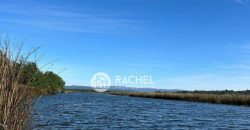 Arriendo de Departamento con vistas al Río – Isla Teja, Valdivia