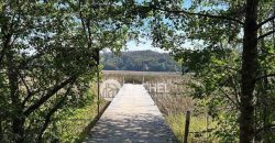 Arriendo de Departamento con vistas al Río – Isla Teja, Valdivia