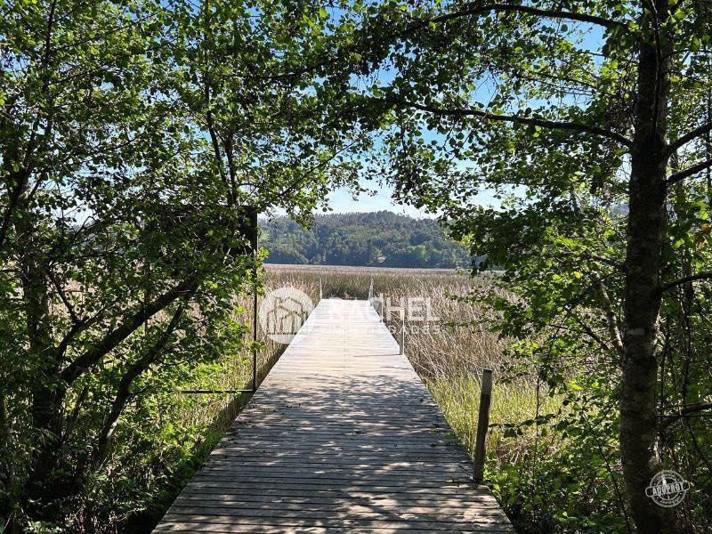 Venta de Departamento con vistas al Río – Isla Teja, Valdivia