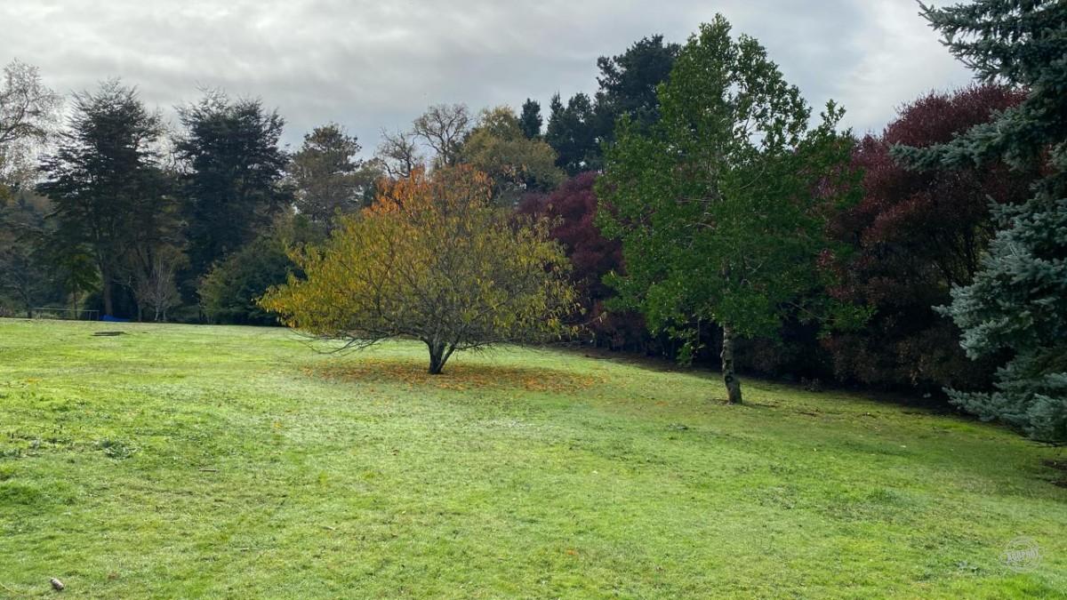Terreno Lomas del Carmen
