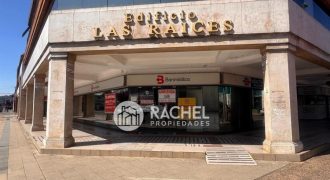 ARRIENDO GRAN LOCAL COMERCIAL – EDIFICIO LAS RAÍCES