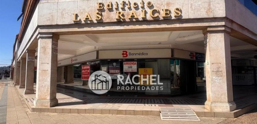 ARRIENDO GRAN LOCAL COMERCIAL – EDIFICIO LAS RAÍCES