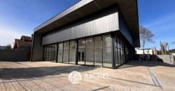SE ARRIENDAN LOCALES COMERCIALES STRIPCENTER EN MEJOR ESQUINA DEL PORTAL DE LA FRONTERA