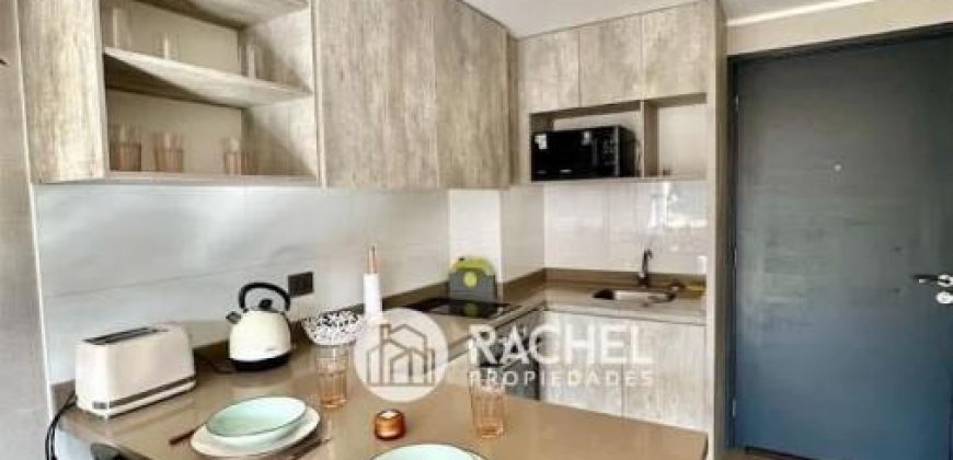 ARRIENDO AMPLIO Y LUMINOSO DEPARTAMENTO AMOBLADO DOS -K