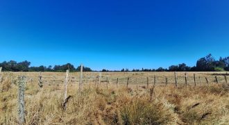 Venta de Parcelas Agrícolas en Freire – Oportunidad de Inversión cerca de Temuco