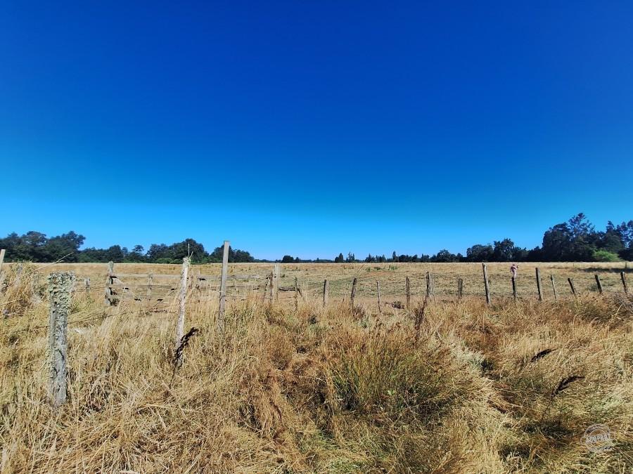 Venta de Parcelas Agrícolas en Freire – Oportunidad de Inversión cerca de Temuco Venta de Parcelas Agrícolas en Freire – Oportunidad de Inversión cerca de Temuco