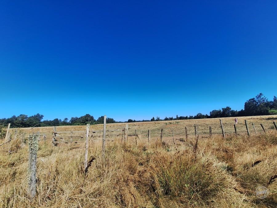 Venta de Parcelas Agrícolas en Freire – Oportunidad de Inversión cerca de Temuco