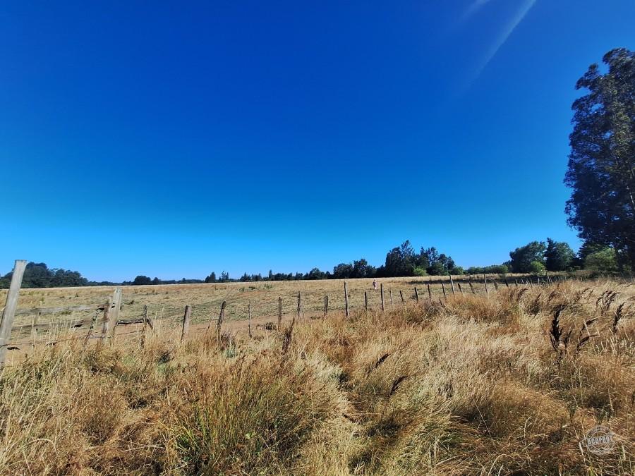 Venta de Parcelas Agrícolas en Freire – Oportunidad de Inversión cerca de Temuco