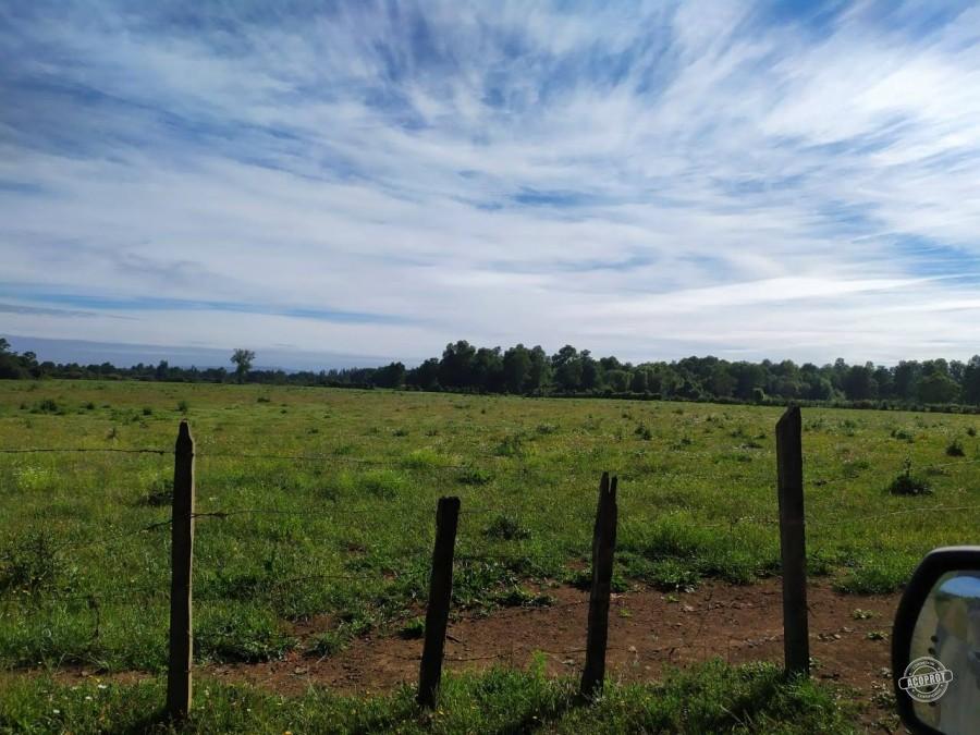 Venta de Parcelas Agrícolas en Freire – Oportunidad de Inversión cerca de Temuco