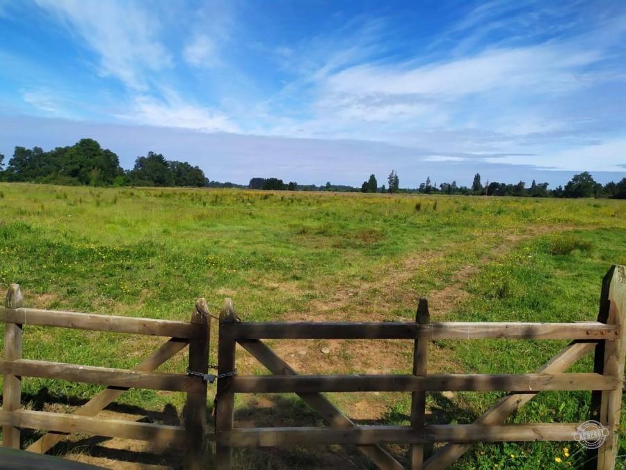 Venta de Parcelas Agrícolas en Freire – Oportunidad de Inversión cerca de Temuco