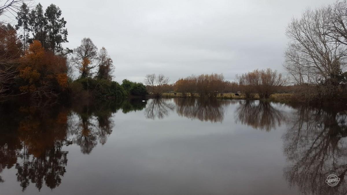 Venta de Parcelas Agrícolas en Freire – Oportunidad de Inversión cerca de Temuco