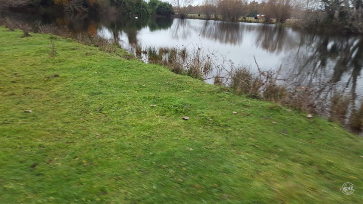 Venta de Parcelas Agrícolas en Freire – Oportunidad de Inversión cerca de Temuco