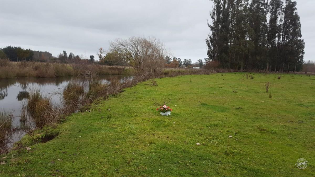 Venta de Parcelas Agrícolas en Freire – Oportunidad de Inversión cerca de Temuco