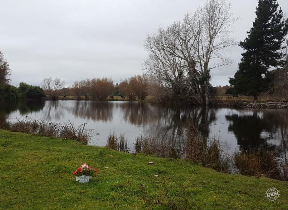 Venta de Parcelas Agrícolas en Freire – Oportunidad de Inversión cerca de Temuco