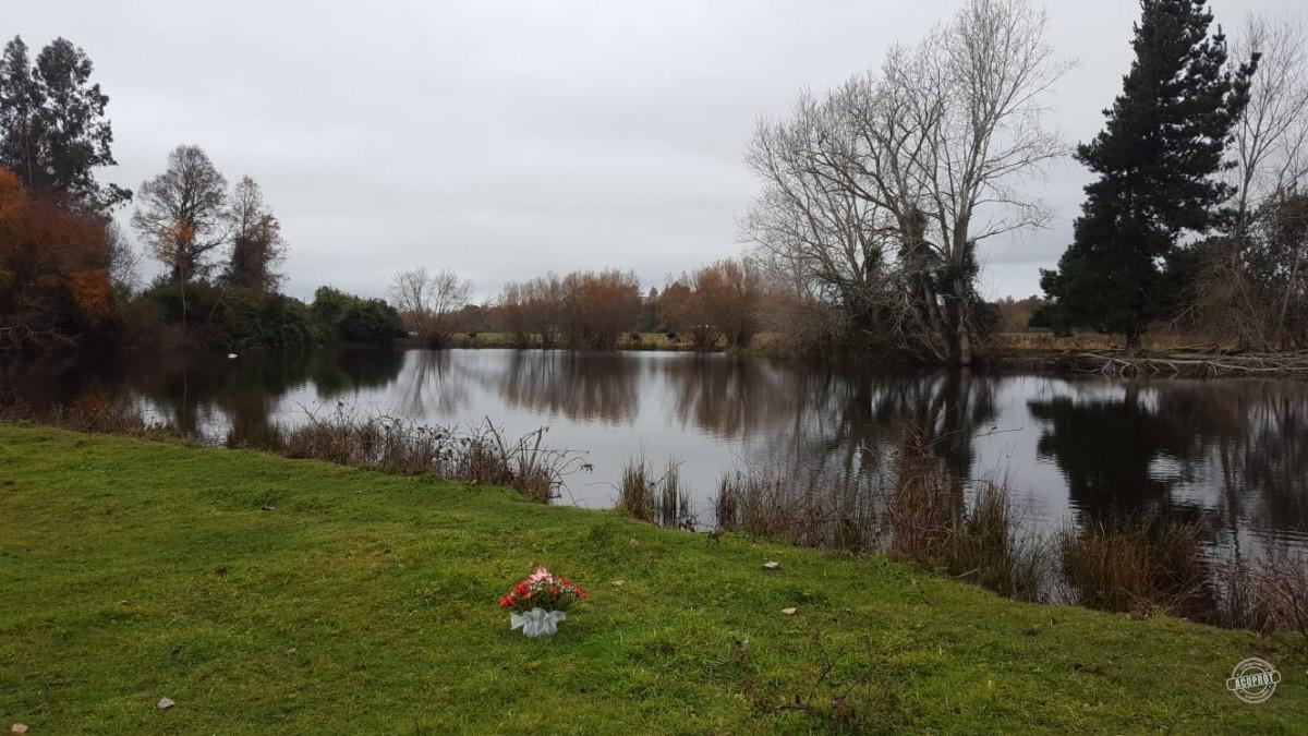 Venta de Parcelas Agrícolas en Freire – Oportunidad de Inversión cerca de Temuco