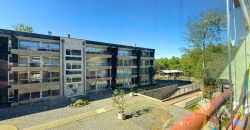 Moderno departamento en venta en Pucón