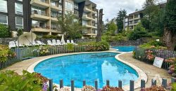 Moderno departamento en venta en Pucón