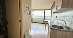 SE VENDE DEPTO ESTUDIO IDEAL INVERSION – Centro Lagos II