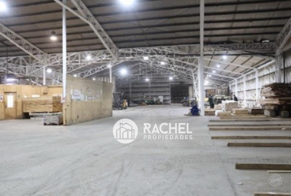 VENTA DE PLANTA INDUSTRIAL DE MUEBLES Y PUERTAS FUNCIONANDO