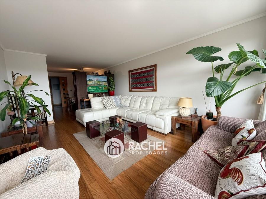 SE VENDE GRAN DEPTO CON 4 DORMITORIOS- La Haya-Sector Holandesa SE VENDE GRAN DEPTO CON 4 DORMITORIOS- La Haya-Sector Holandesa